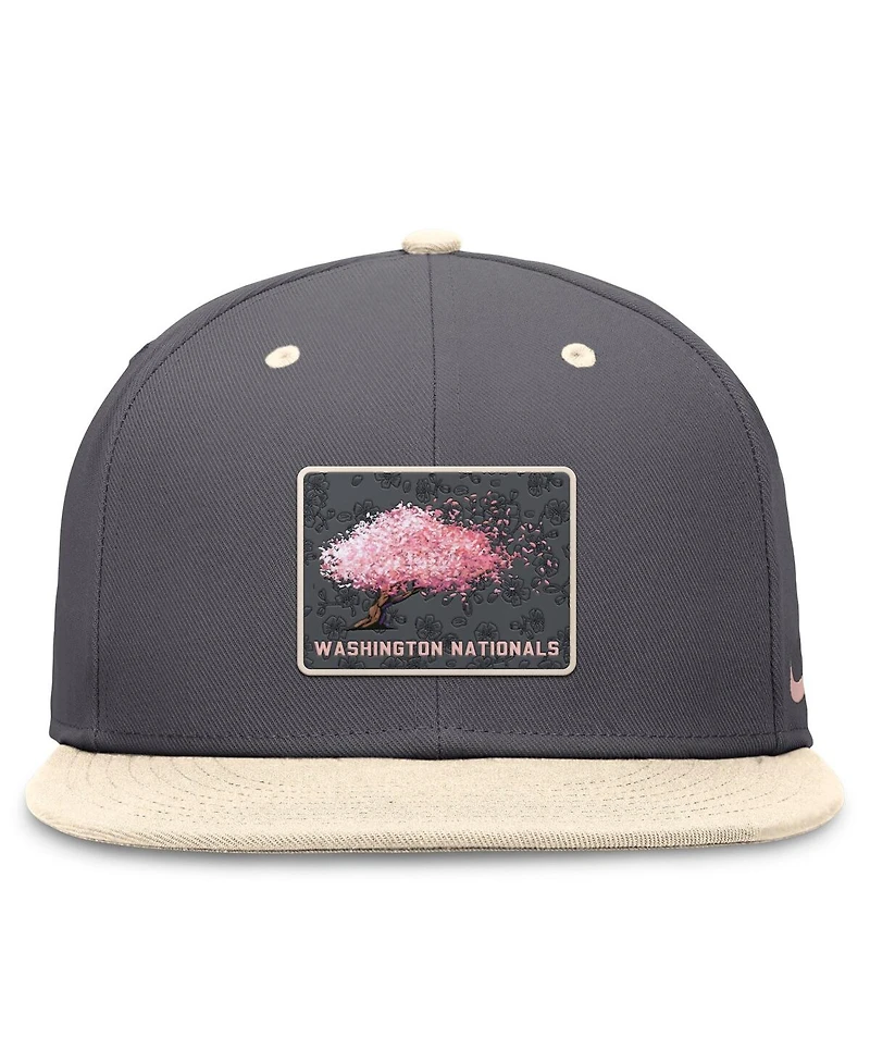Nike Men's Graphite/Natural Washington Nationals City Connect True Fitted Hat