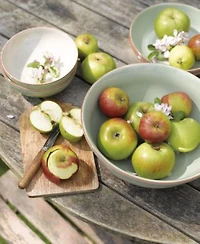 Denby Heritage Orchard Dinnerware Collection