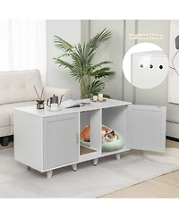 2-Door Cat Litter Box Enclosure with Winding Entry and Scratching Board