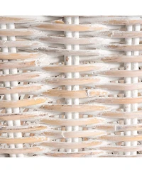 Jonathan Y Reed Southwestern Hand-Woven Rattan Nesting Baskets with Handles, White Wash/Kubu Gray (Set of 2)