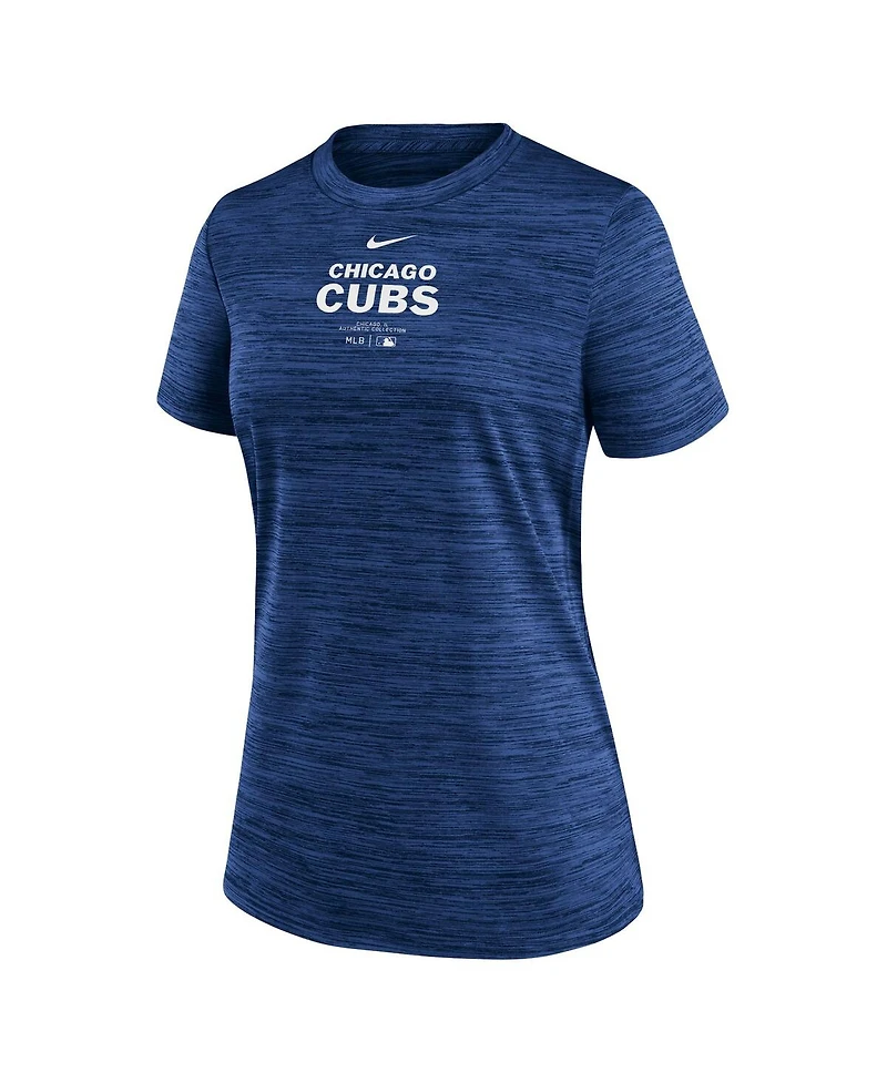 Nike Women's Royal Chicago Cubs Authentic Collection Velocity Performance T-Shirt