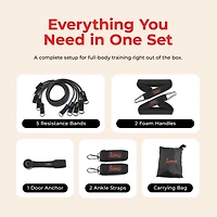 Sunny Health & Fitness Resistance Tube Set, 10-50LBs