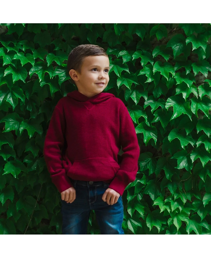 Hope & Henry Baby Boys Long Sleeve Hooded Henley Sweater
