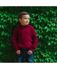 Hope & Henry Baby Boys Long Sleeve Hooded Henley Sweater