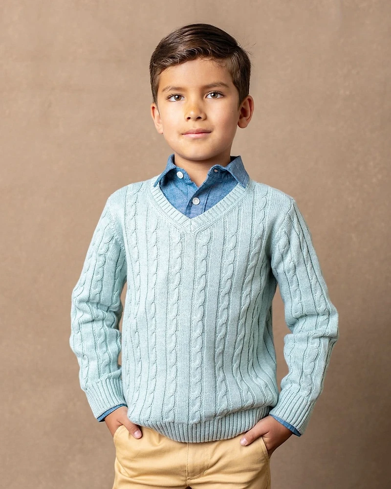 Hope & Henry Baby Boys Long Sleeve Fine Gauge Cable V-Neck Sweater