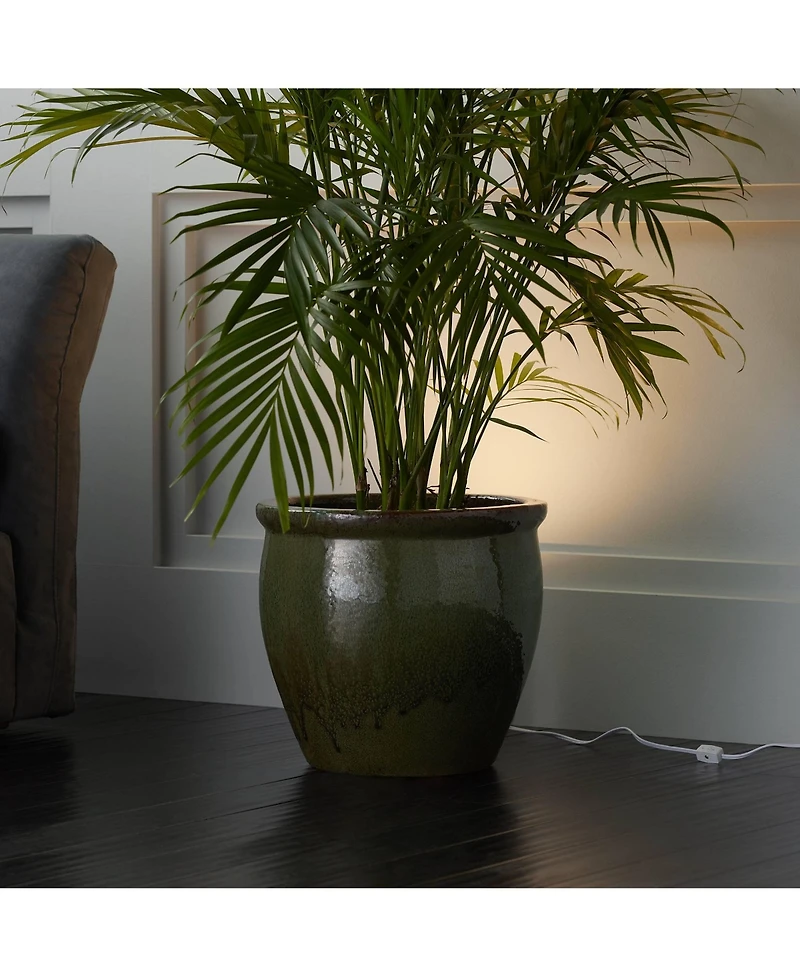 Pro Track Set of 2 Can Uplighting Indoor Accent Spot-Lights Plug-In Floor Plant Home Decorative Art Desk White Finish 6 1/2" High