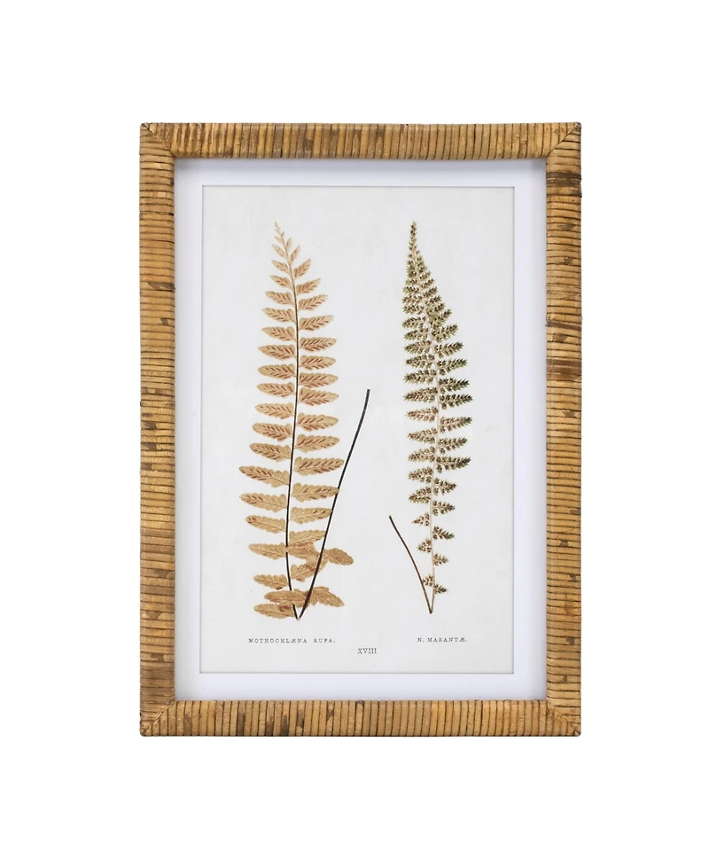 Slickblue Framed Fern Print for Lush Wall Art and Elegant Home Decor (Set of 4)