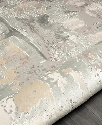 Lr Home Cheshire Chesh- 2'6''x9'9'' Runner Area Rug