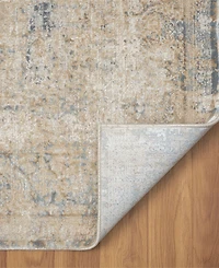 Lr Home Cherry-318 2'6''x9'9'' Runner Area Rug