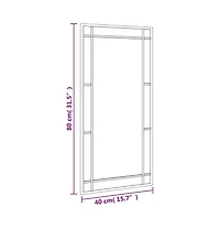 vidaXL Wall Mirror Black 15.7"x31.5" Rectangle Iron