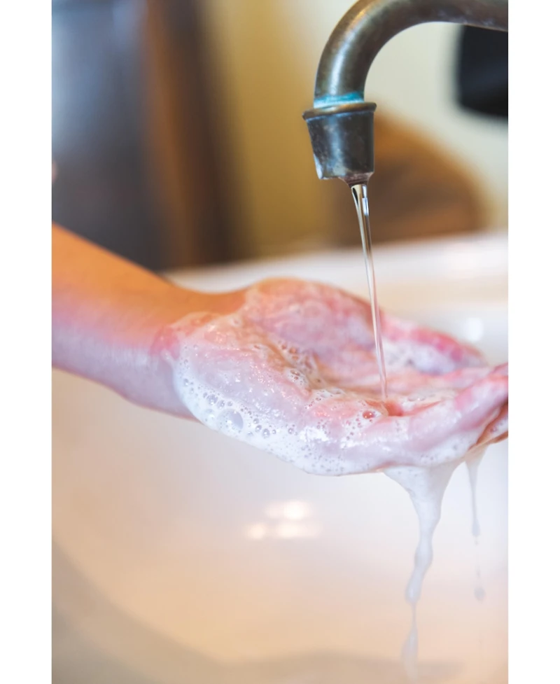 Aremes Fermentis Bioradiance Botanical Cleanser