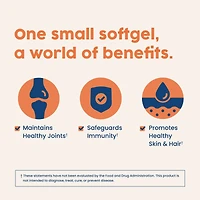 NativePath Turmeric Curcumin with Black Seed Oil - Advanced Antioxidant & Joint Support Supplement