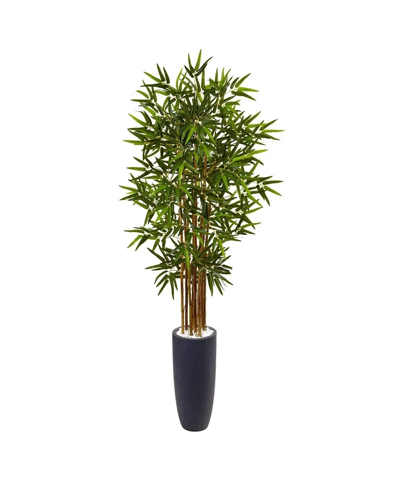 Slickblue Cane Tree Cylinder Planter – Sleek Indoor/Outdoor Plant for Modern Decor
