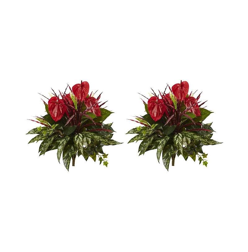 Slickblue Mixed Anthurium Bush for Vibrant Indoor Plants (Set of 2)