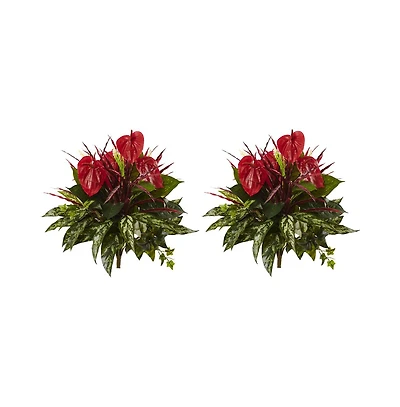Slickblue Mixed Anthurium Bush for Vibrant Indoor Plants (Set of 2)