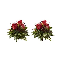 Slickblue Mixed Anthurium Bush for Vibrant Indoor Plants (Set of 2)