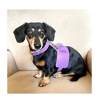 PoisePup Pet Dog Harness - Lavish Lavender