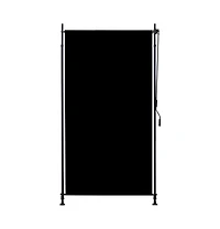 vidaXL Outdoor Roller Blind 47.2"x106.3" Anthracite