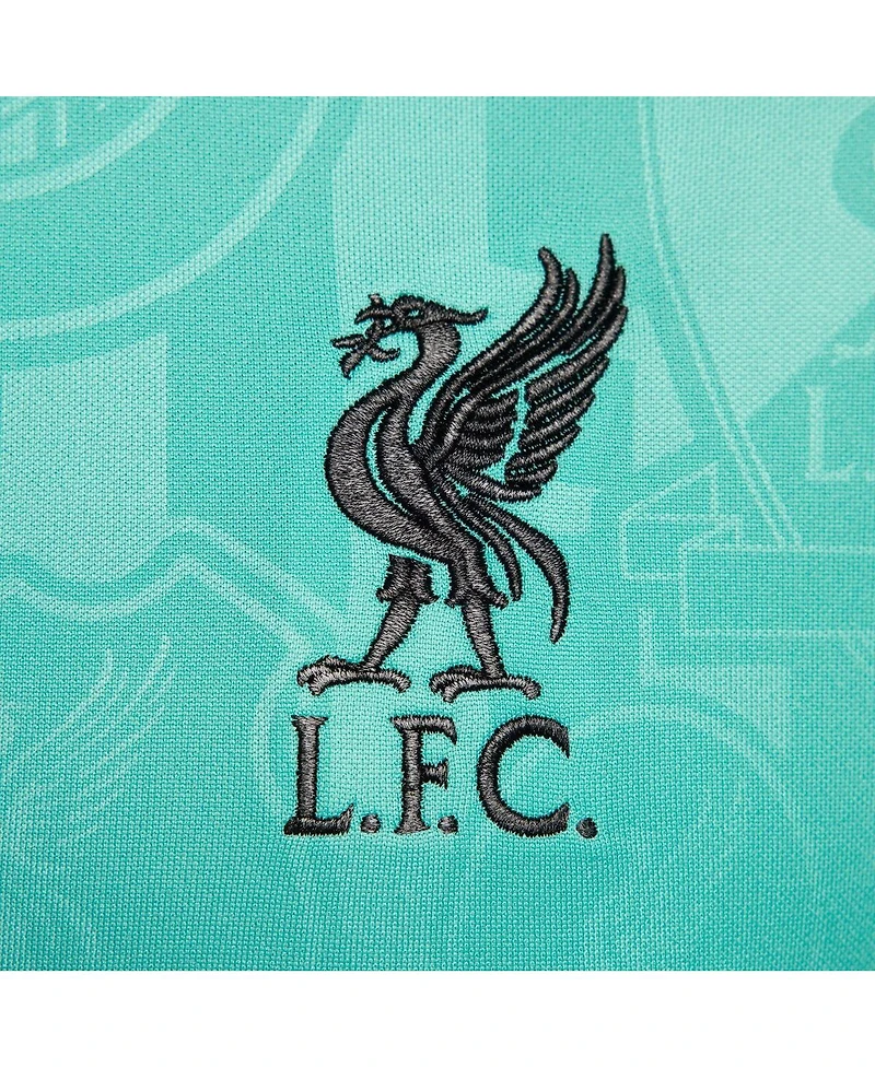 Nike Men's Teal Liverpool 2024/25 Academy Pro Pre-Match Top