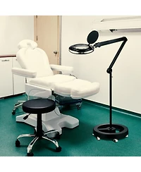 Brightech Lightview Pro 55 in. Dimmable Magnifying Led Rolling Floor Lamp (1.75X)