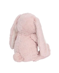 Lambs & Ivy Botanical Baby Plush Pink Bunny Stuffed Animal Toy - Hip Hop