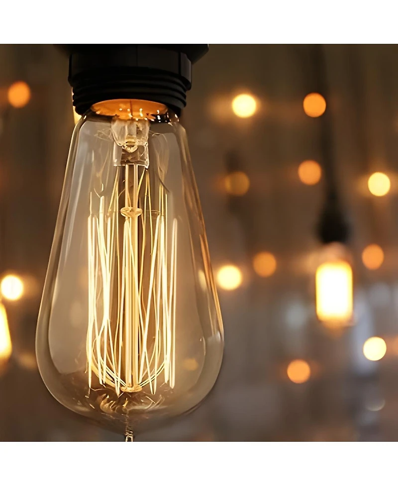 Ambience Pro 48 ft. Incandescent Indoor/Outdoor Weatherproof 40-Watt String Lights