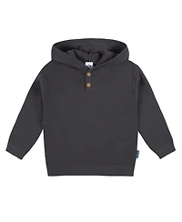 Gerber Toddler Boys Hooded Sweater Top and Pant Knit Set