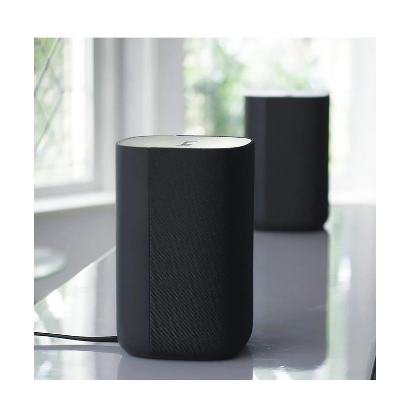Roku Wireless Speakers