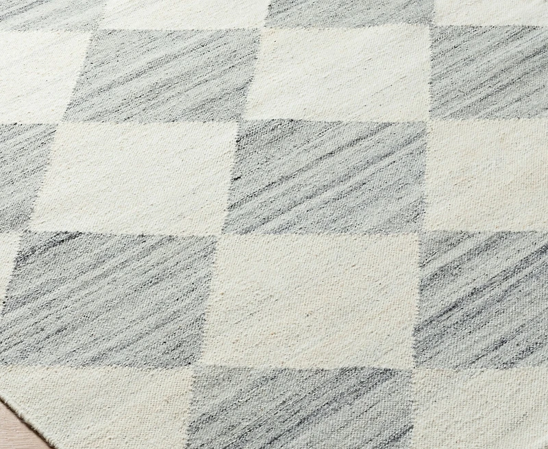 Livabliss Antho Vvat-2303 2'x3' Area Rug