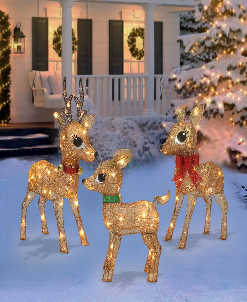 Puleo 18" Lighted Outdoor Wire Frame Deer Set, 3 Piece