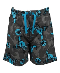 Jurassic World T-Shirt and French Terry Shorts Outfit Set Toddler to Big Kid