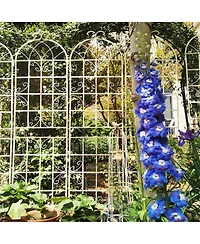 Slickblue 2-Pack Metal Garden Trellis – 86.7'' x 19.7'', Rustproof Cream White Trellis for Climbing Plants and Outdoor Flower Support