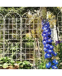 Slickblue 2-Pack Metal Garden Trellis – 86.7'' x 19.7'', Rustproof Cream White Trellis for Climbing Plants and Outdoor Flower Support