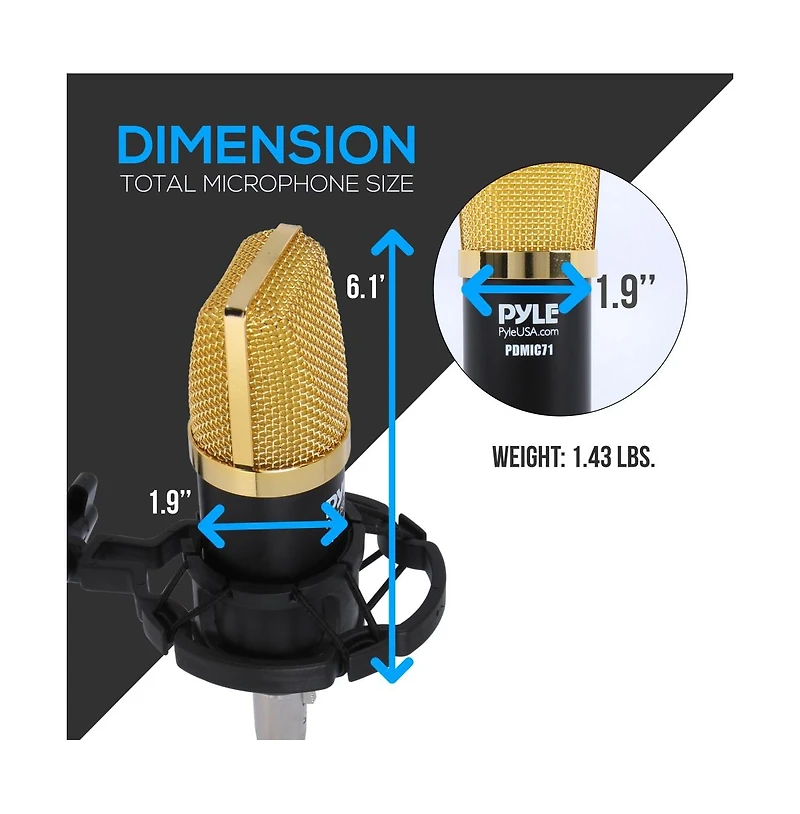 Pyle Large Diaphragm Cardioid Condenser Microphone Kit, Pro Audio with Shock Mount & Xlr Audio Cable