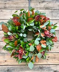GreenishBlu Fall Ruscus, Silver Dollar Eucalyptus, Orange Salal and Red Safari Real Aromatic Wreath, 22"