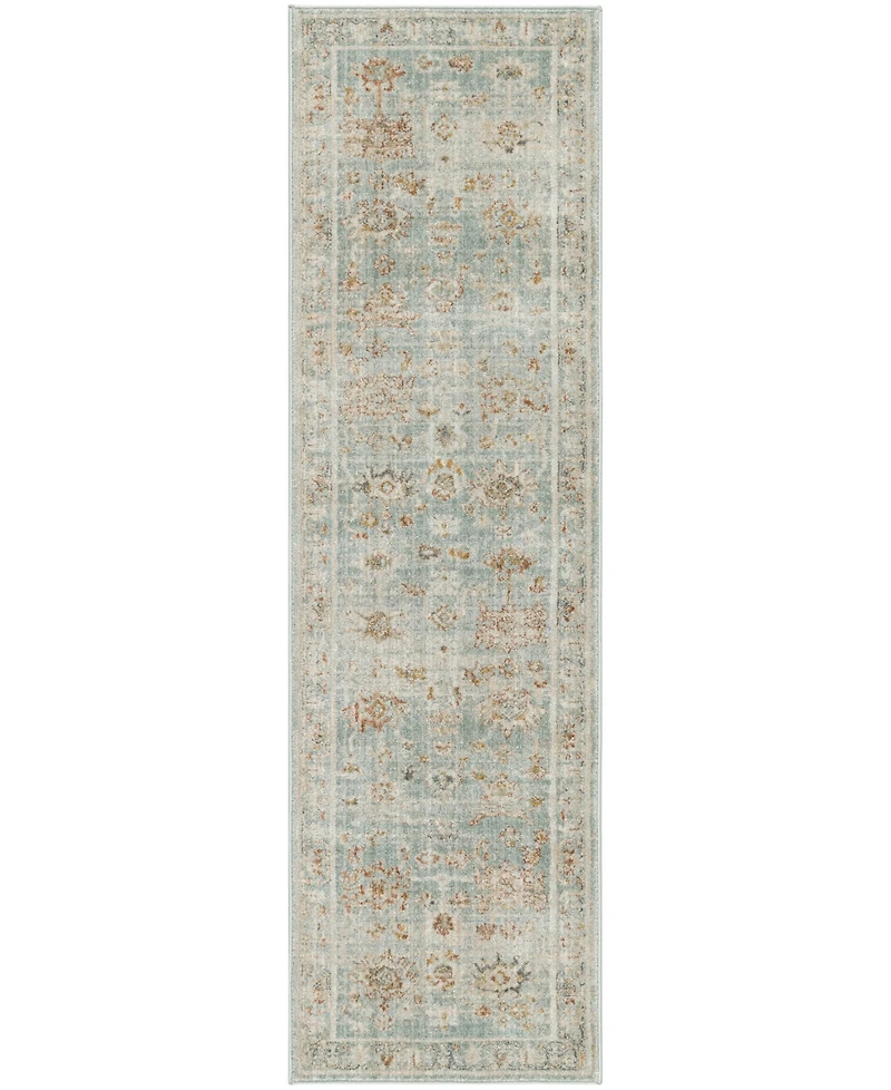 Nourison Home Oases OAE02 2'3"x8' Runner Area Rug