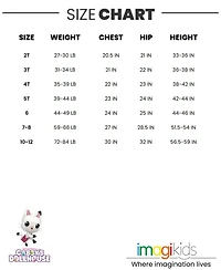 Gabby's Dollhouse Toddler Girls Dreamworks Pandy Paws Cakey Cat French Terry Dress