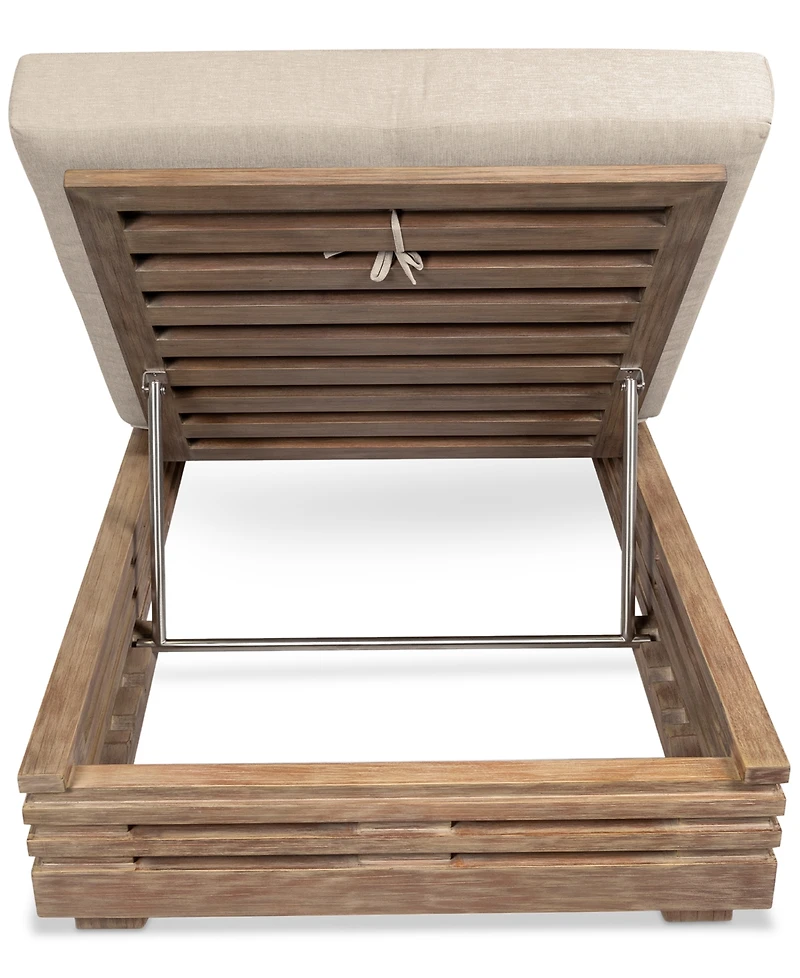 Vivid Outdoor Chaise Lounge Chair