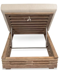 Vivid Outdoor Chaise Lounge Chair