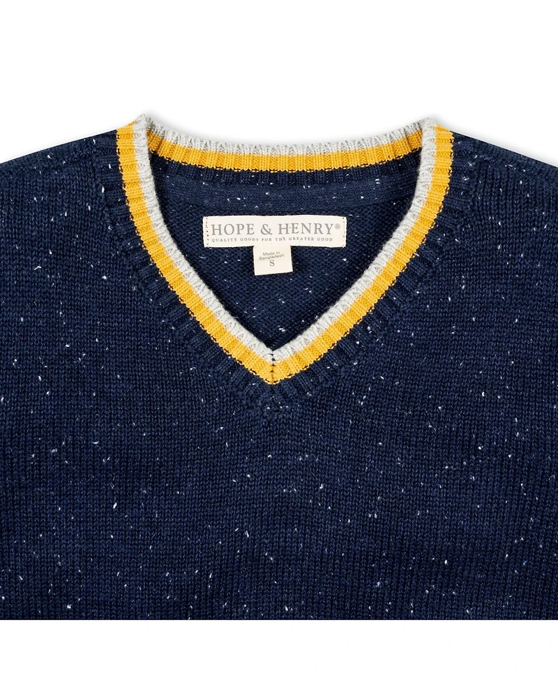 Hope & Henry Baby Boys Long Sleeve V-Neck Sweater