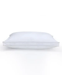 Claritin Ultimate Allergen Barrier Firm Density Gusset Pillow, King