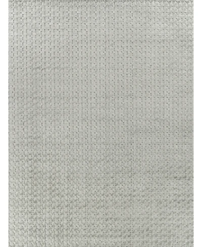 Exquisite Rugs Monroe Silk 2'x3' Area Rug