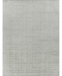Exquisite Rugs Monroe Silk 3972 2'x3' Area Rug