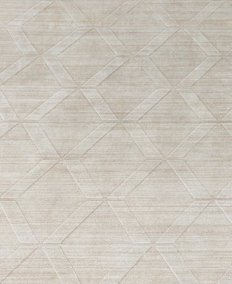 Exquisite Rugs Castelli 4361 8'x10' Area Rug