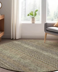 Dalyn Trevi Washable TV3 8'x8' Round Area Rug