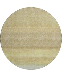 Dalyn Trevi Washable TV2 8'x8' Round Area Rug