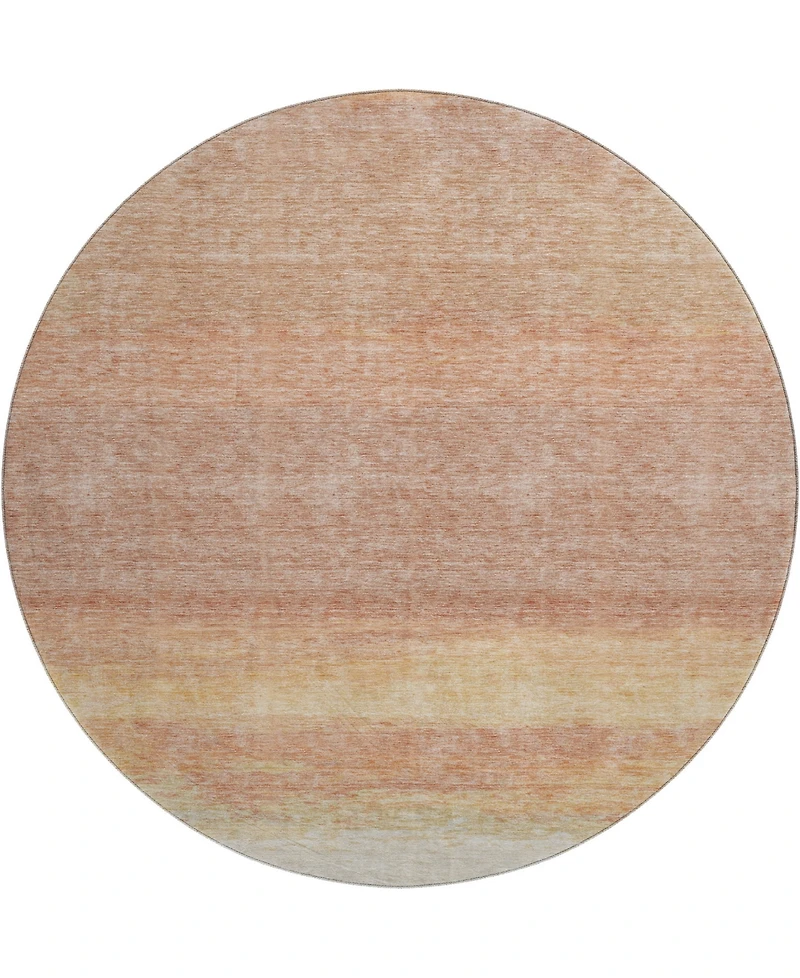 Dalyn Trevi Washable TV2 8'x8' Round Area Rug