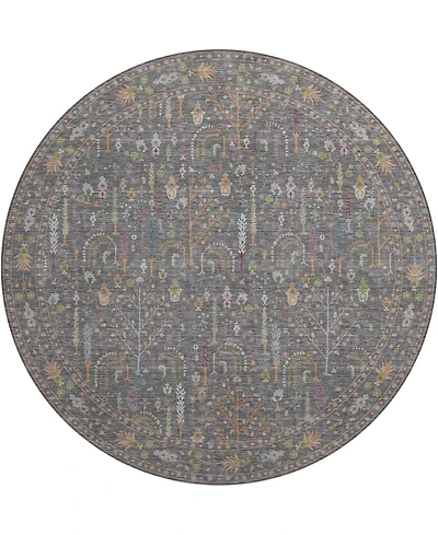 Dalyn Hatay Washable HY5 8'x8' Round Area Rug