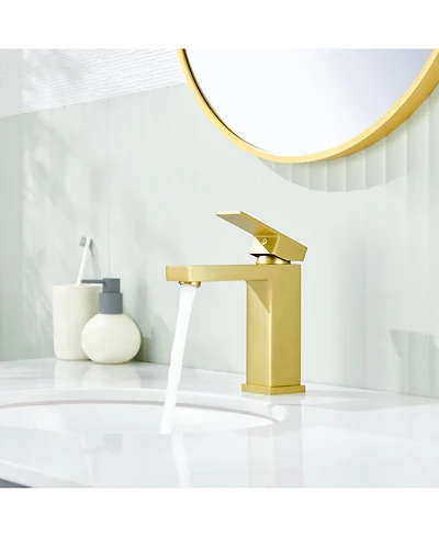 Flynama Single-Hole Single-handle Bathroom Faucet