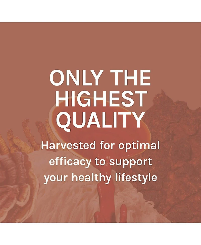 Host Defense MycoBotanicals Liver Capsules - Liver Health Supplement with Milk Thistle & Turmeric Root